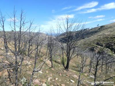 Agua, Vino y .... Vida - Tierra de Pinares; ayllon medieval la barranca madrid fuenfria fotos de cas
